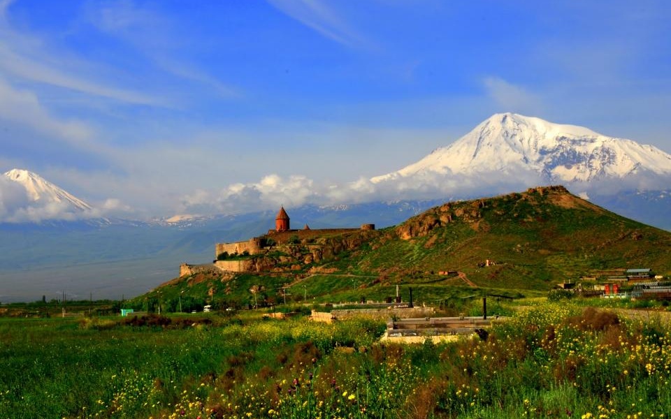 Армения гора Арарат маки